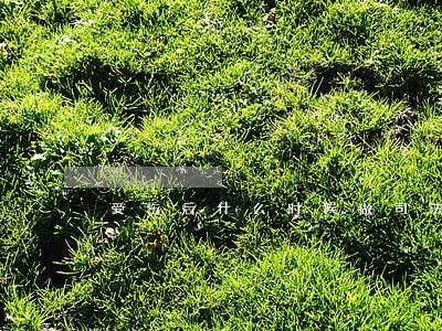 受伤后什么时候做司法鉴定 受伤后什么时候做司法鉴定