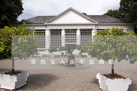 受伤女人该不该离婚 受伤女人该不该离婚