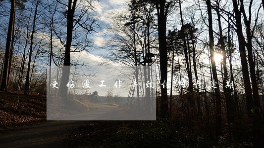 受伤没工作导致信用卡逾期 受伤没工作导致信用卡逾期