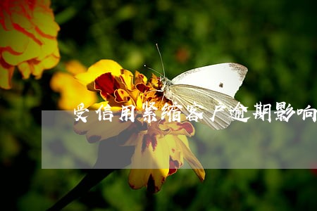 受信用紧缩客户逾期影响 受信用紧缩客户逾期影响