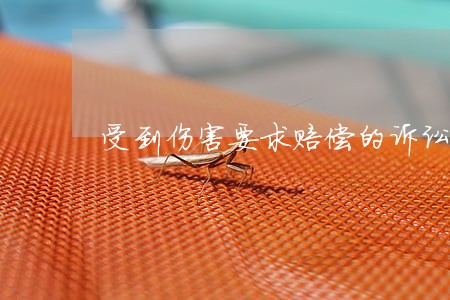 受到伤害要求赔偿的诉讼 受到伤害要求赔偿的诉讼