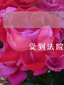 受到法院的处罚 受到法院的处罚