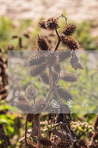 受害人家属可申请司法救助 受害人家属可申请司法救助