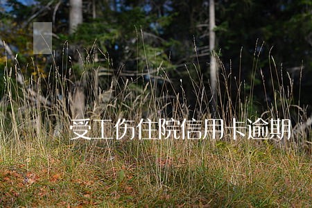 受工伤住院信用卡逾期 受工伤住院信用卡逾期