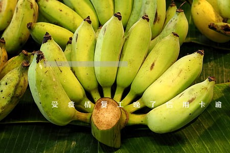 受疫情复工晚了信用卡逾期怎么办 受疫情复工晚了信用卡逾期怎么办