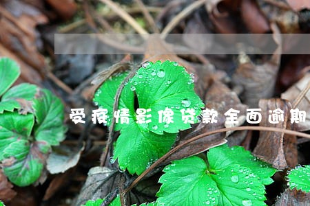 受疫情影像贷款全面逾期 受疫情影像贷款全面逾期