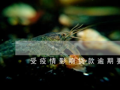 受疫情影响贷款逾期要起诉我 受疫情影响贷款逾期要起诉我