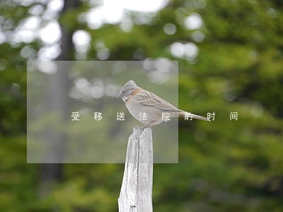 受移送法院的时间 受移送法院的时间