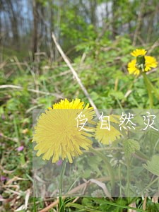 受自然灾害后信用卡逾期 受自然灾害后信用卡逾期