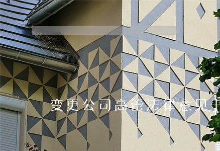 变更公司高管法律意见书 变更公司高管法律意见书