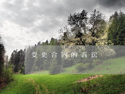 变更合同的诉讼 变更合同的诉讼