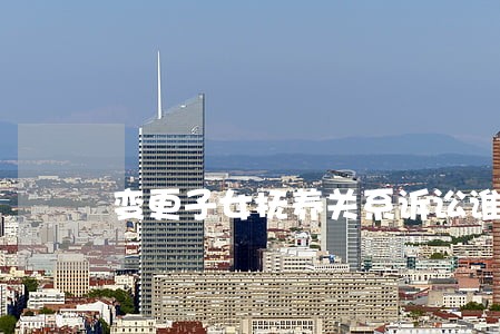 变更子女抚养关系诉讼谁作原告