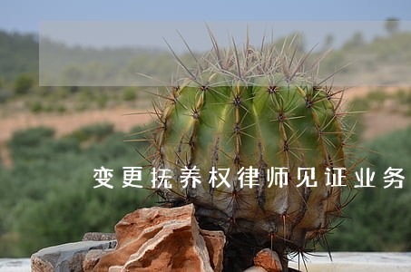 变更抚养权律师见证业务 变更抚养权律师见证业务