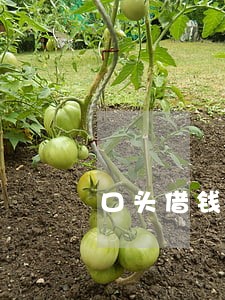口头借钱的诉讼的时放 口头借钱的诉讼的时放