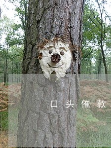 口头催款诉讼时效中断吗