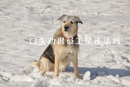 口头劝退员工是违法吗 口头劝退员工是违法吗