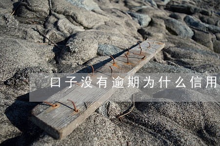 口子没有逾期为什么信用不足 口子没有逾期为什么信用不足