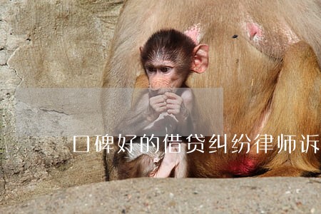 口碑好的借贷纠纷律师诉讼费 口碑好的借贷纠纷律师诉讼费