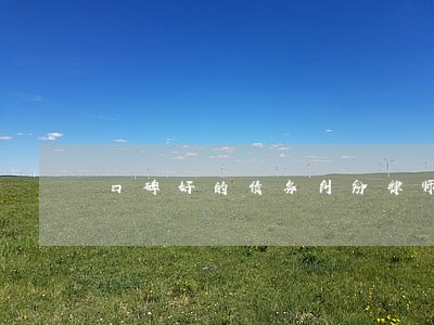 口碑好的债务纠纷律师调解 口碑好的债务纠纷律师调解