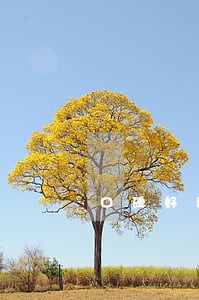 口碑好的公司合同律师微信咨询 口碑好的公司合同律师微信咨询