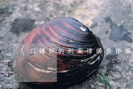 口碑好的刑案律师委托哪个