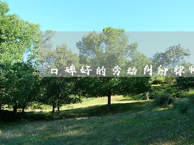 口碑好的劳动纠纷律师网