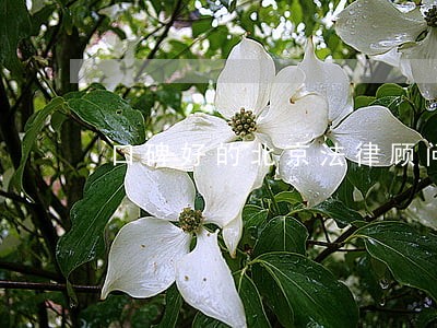 口碑好的北京法律顾问 口碑好的北京法律顾问