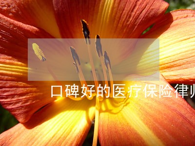 口碑好的医疗保险律师事务所 口碑好的医疗保险律师事务所