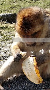 口碑好的合同律师一次多少钱 口碑好的合同律师一次多少钱