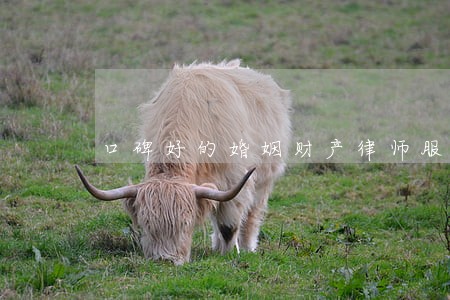 口碑好的婚姻财产律师服务热线 口碑好的婚姻财产律师服务热线