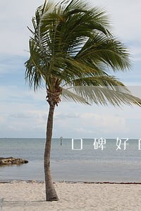 口碑好的孩子抚养权律师费用多少 口碑好的孩子抚养权律师费用多少