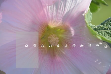 口碑好的家庭婚姻律师找谁 口碑好的家庭婚姻律师找谁