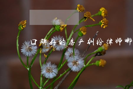 口碑好的房产纠纷律师哪个好 口碑好的房产纠纷律师哪个好