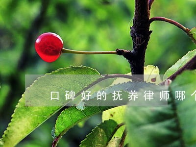 口碑好的抚养律师哪个专业 口碑好的抚养律师哪个专业