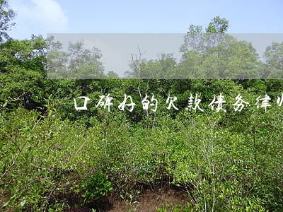 口碑好的欠款债务律师 口碑好的欠款债务律师