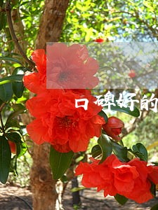 口碑好的法律顾问价格 口碑好的法律顾问价格