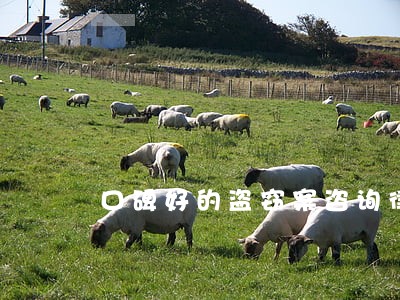 口碑好的盗窃案咨询律师咨询 口碑好的盗窃案咨询律师咨询