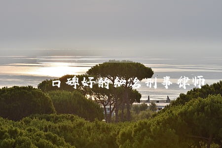 口碑好的知名刑事律师