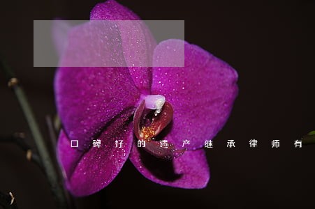 口碑好的遗产继承律师有哪些 口碑好的遗产继承律师有哪些