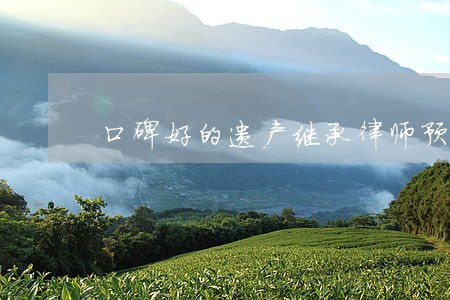 口碑好的遗产继承律师预约咨询 口碑好的遗产继承律师预约咨询