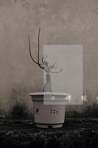 口碑较好的刑辩律师有哪些 口碑较好的刑辩律师有哪些