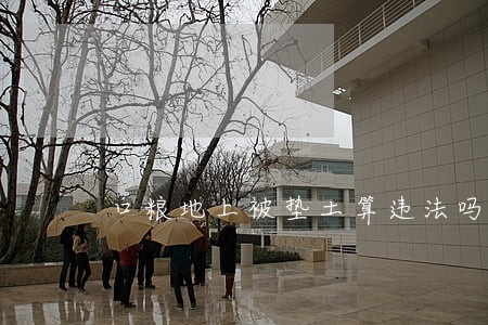 口粮地上被垫土算违法吗