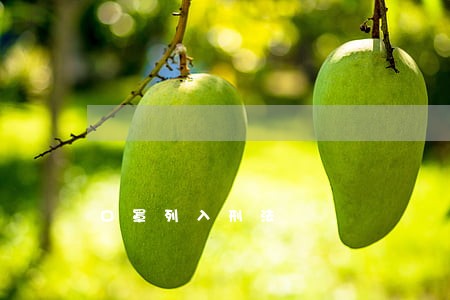 口罩列入刑法