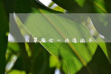 口罩涨价一倍违法不