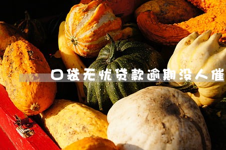 口袋无忧贷款逾期没人催