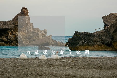 口袋理财雷了逾期 口袋理财雷了逾期