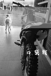 口袋钱包逾期费1700