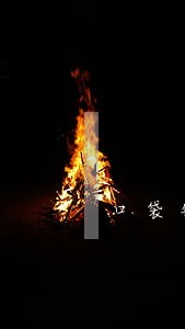口袋银行怎么看信用卡逾期 口袋银行怎么看信用卡逾期