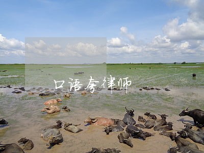口语夸律师 口语夸律师