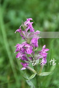 古交信息债务律师 古交信息债务律师